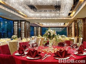 機(jī)票代訂與婚禮籌備的完美結(jié)合 如何高效整合資源與達(dá)人團(tuán)隊(duì)